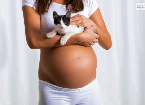 Can Cats Sense Pregnancy