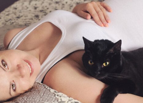 Can Cats Sense Pregnancy