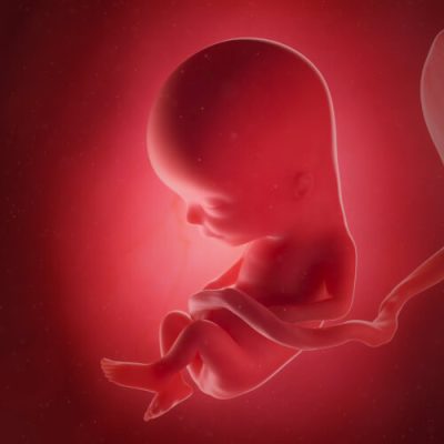 14 week pregnancy symptoms