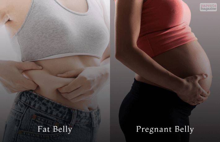 What is the Difference between Pregnant Belly And Fat Belly  