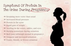 Protein In Urine During Pregnancy? All Questions Answered