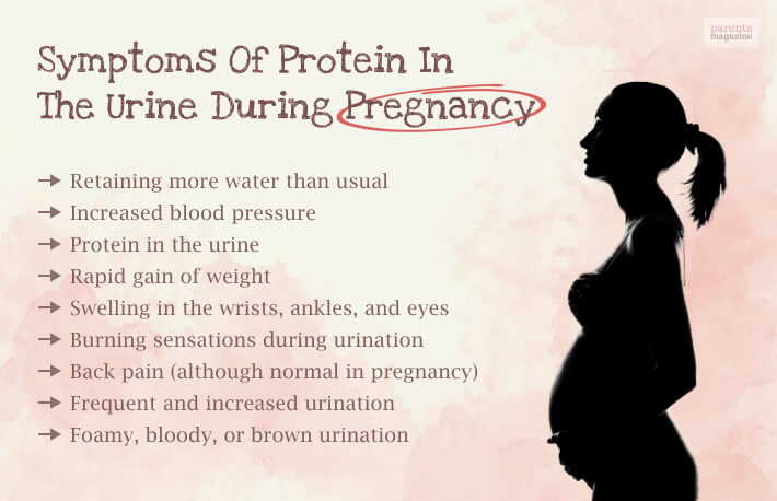Symptoms Of Protein In The Urine During Pregnancy