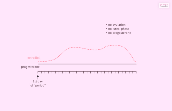 How Can You Tell If You Have An Anovulatory Cycle