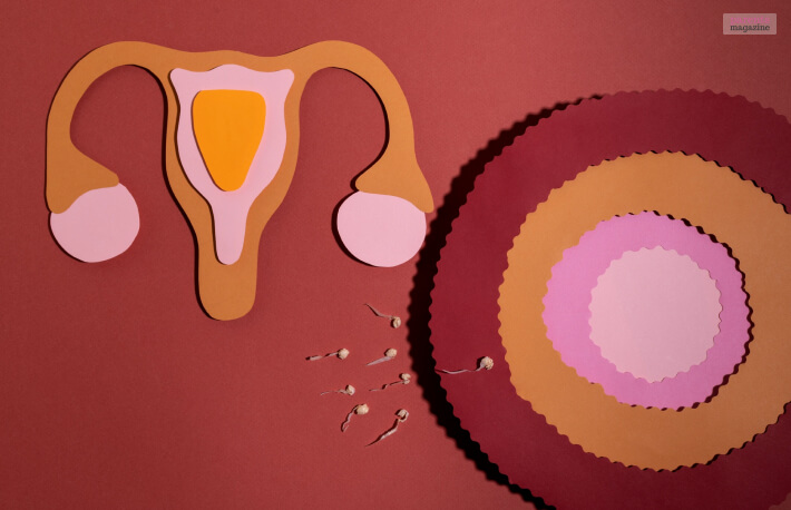 What Causes Multiple Ovulation
