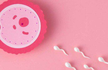 can you ovulate twice in a month