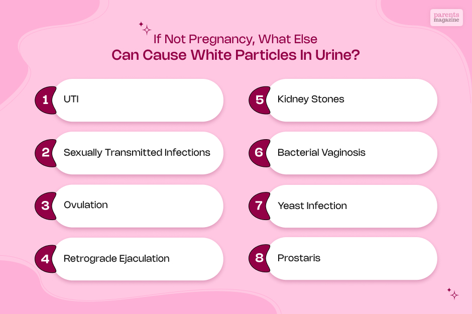 If not Pregnancy, What Else Can Cause White Particles in Urine?