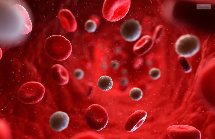 What is a high blood cell count