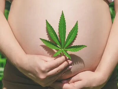 Maternal cannabis exposure