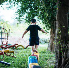 Jungle Gyms