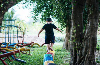 Jungle Gyms