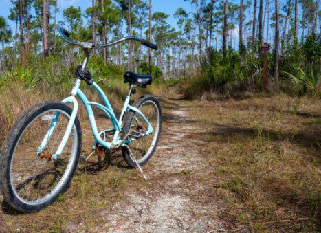 longtail bicycles for kids