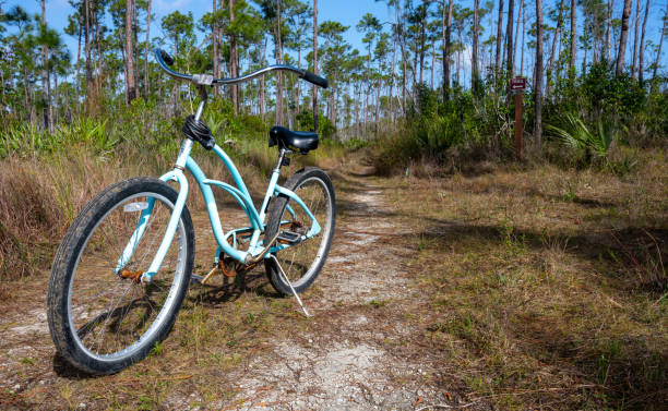 longtail bicycles for kids