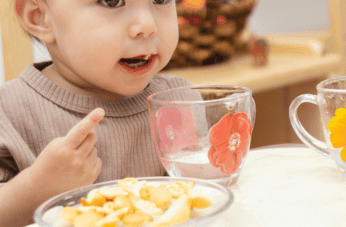 Lunch Ideas for Toddlers