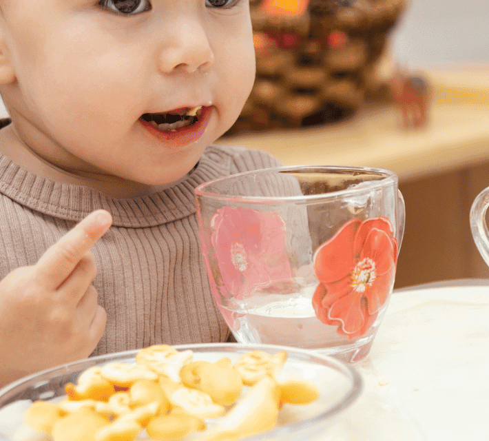 Lunch Ideas for Toddlers