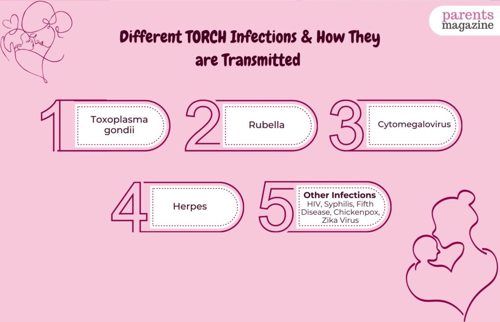 Different TORCH Infections & How They Are Transmitted