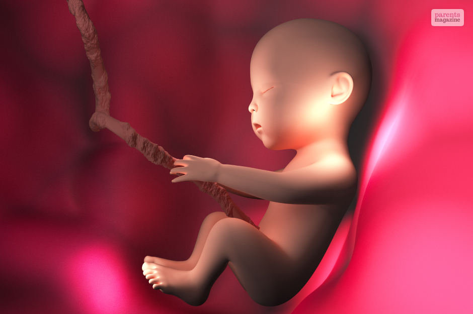 Do Babies Dream in the Womb?