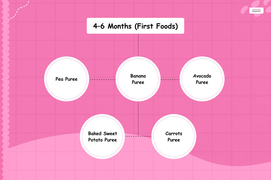 4–6 Months (First Foods)