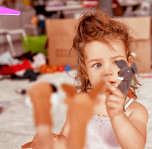 The Toy Purge