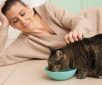 Low-Energy Pets